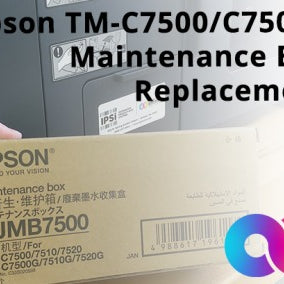 Epson TM-C7500/C7500G: Maintenance Box Replacement